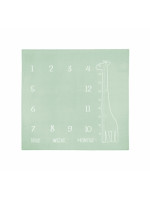 Míľniková mušelínová plienka/dečka 120x120 cm Boho Sensillo, mätová