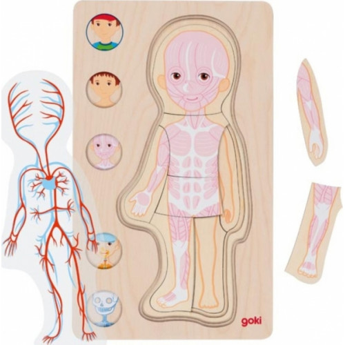 Drevené viacvrstvové puzzle/vkladačka Ľudské telo - Chlapec