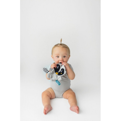 Roztomilý maznáčik/šustík Mýval Pedro, sivý