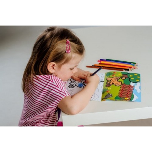 Teddies Omalovánky Moje první zvířátka 21x14,5cm MPZ